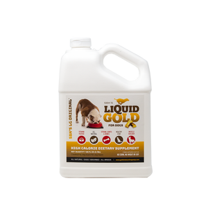SBK'S LIQUID GOLD FOR DOGS High Calorie Dietary Supplement- Bacon Flavor-Gallon - GOLD CLUB CANINE GROUP LLC